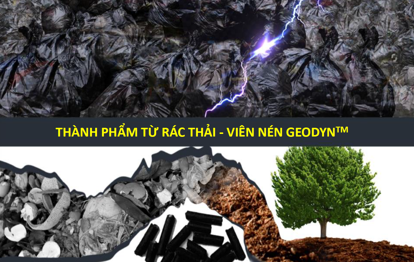 Geodyn solution vietnam