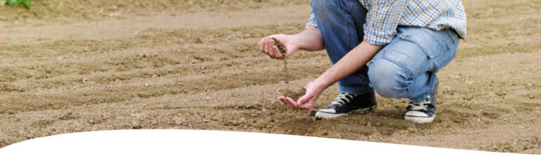 Read more about the article Geodyn solutions advance oil bioremediation
