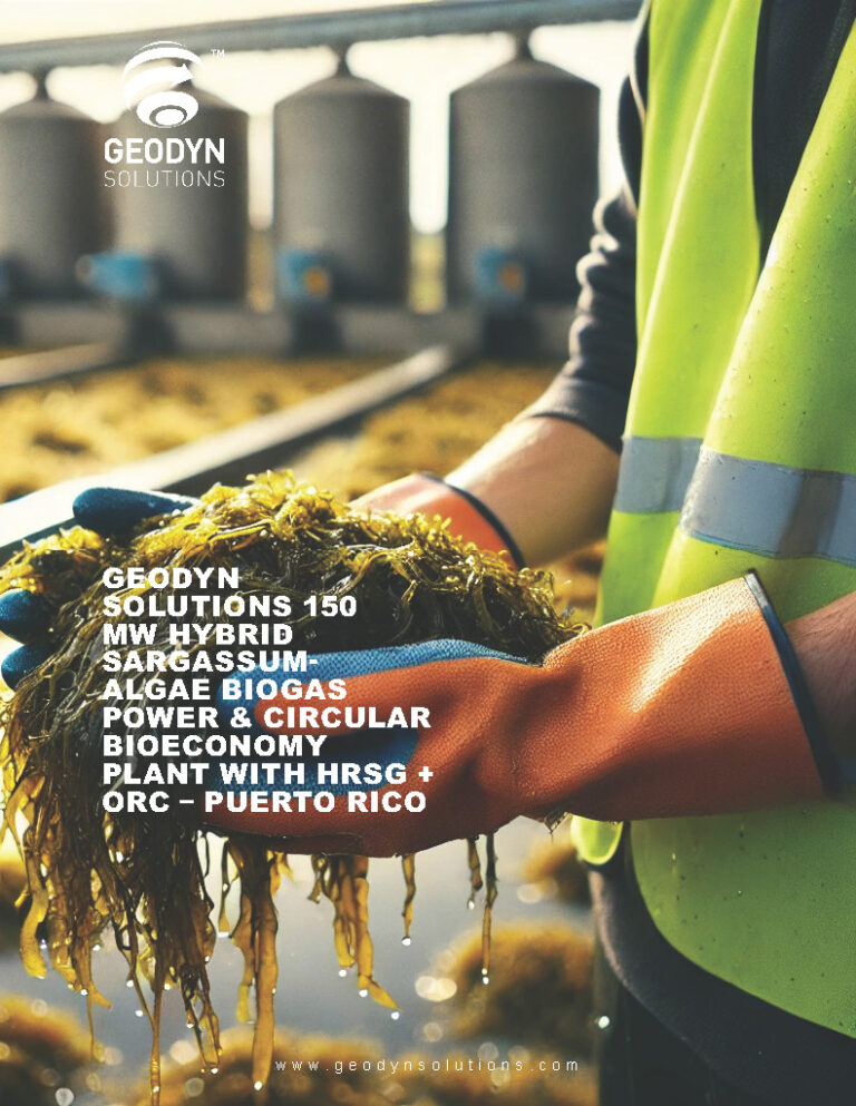 Read more about the article Proposal: Geodyn Solutions 150 MW Hybrid Sargassum-Algae Biogas Power & Circular Bioeconomy Plant with HRSG + ORC – Puerto Rico
