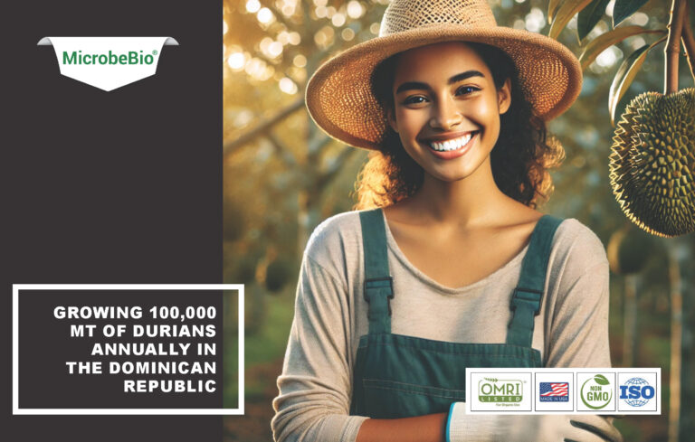Read more about the article Growing 100,000 MT of Organic Durians Annually in the Dominican Republic