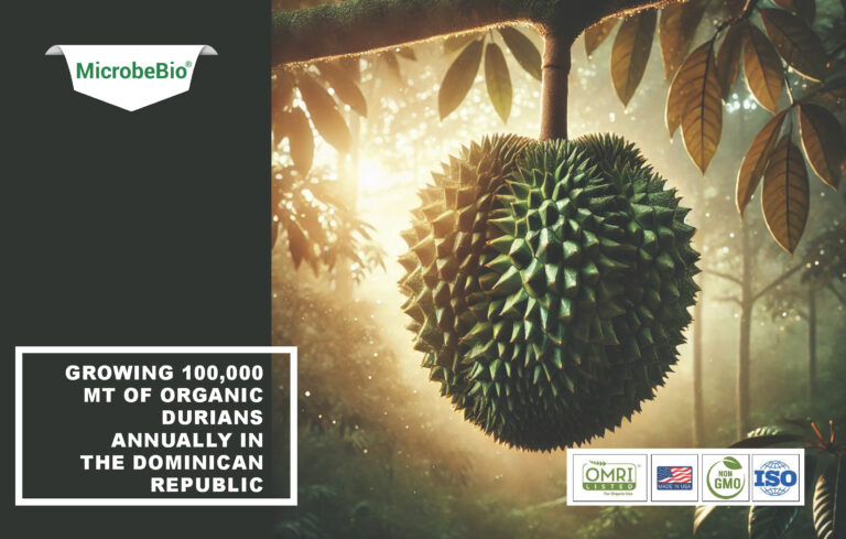 Read more about the article Proposal for Microbebio: Growing 50,000 MT of Durians Annually in the Dominican Republic
