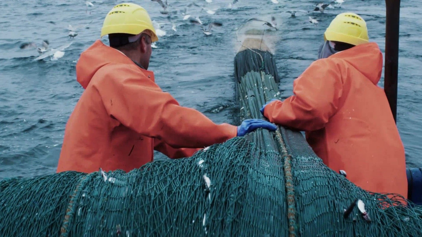 You are currently viewing Comparative Proposal for Geodyn Solutions: Shrimp and Fish Farming Facility with Processing and Packaging in the Dominican Republic vs. USA
