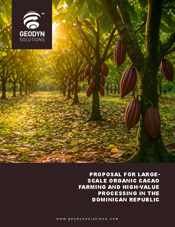 Read more about the article Proposal for Large-Scale Organic Cacao Farming and High-Value Processing in the Dominican Republic