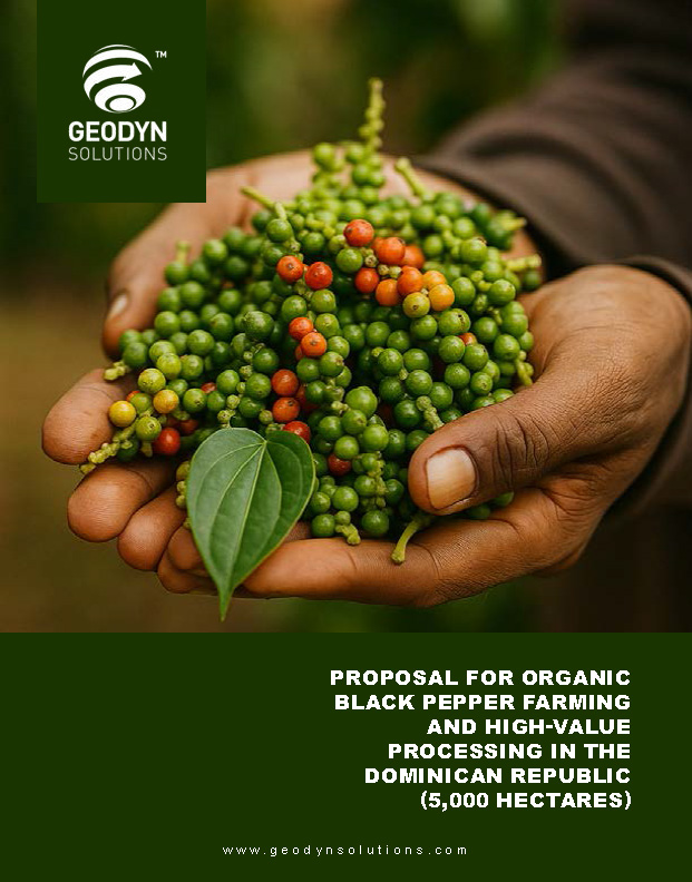 Read more about the article Proposal for Organic Black Pepper Farming and High-Value Processing in the Dominican Republic (5,000 Hectares)