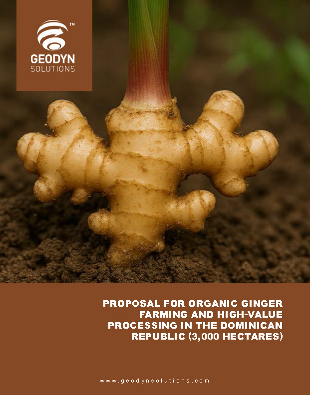 Read more about the article Proposal for Organic Ginger Farming and High-Value Processing in the Dominican Republic (3,000 Hectares)