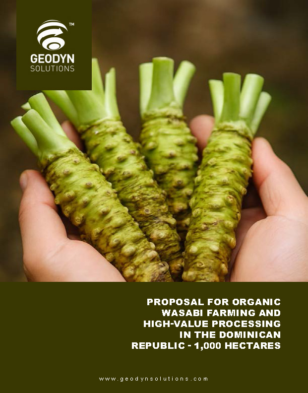Read more about the article Proposal for Organic Wasabi Farming and High-Value Processing in the Dominican Republic (1,000 Hectares)