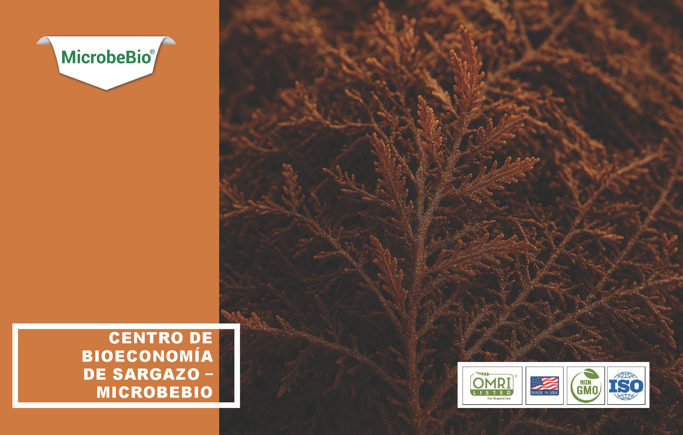 Read more about the article Centro de Bioeconomía de Sargazo – MicrobeBio