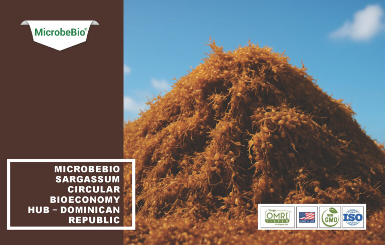 Read more about the article Optimized $25M Sargassum Bioeconomy Hub with Built-In Contingency and Revenue Breakdown