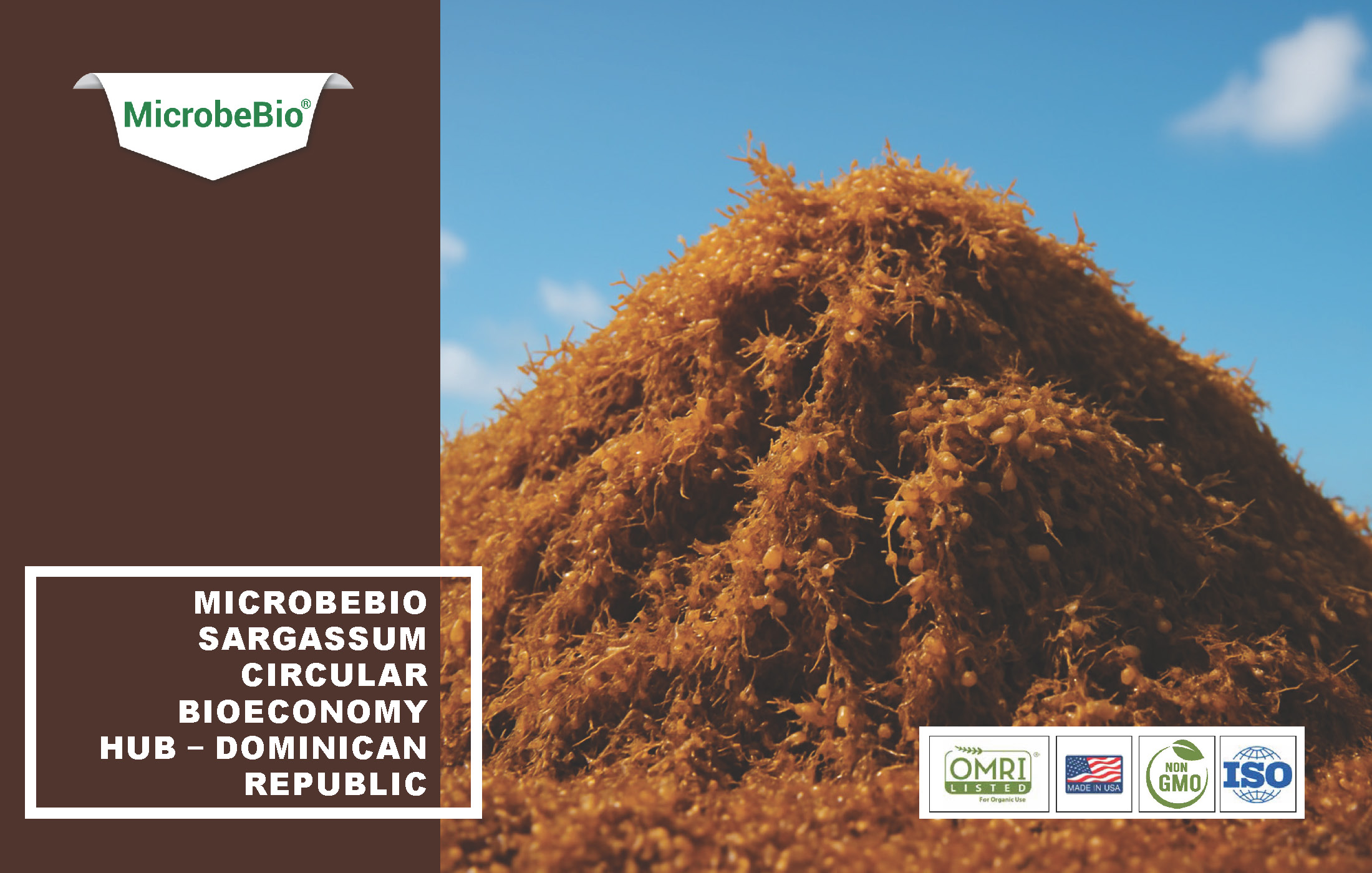 Read more about the article Optimized $25M Sargassum Bioeconomy Hub with Built-In Contingency and Revenue Breakdown