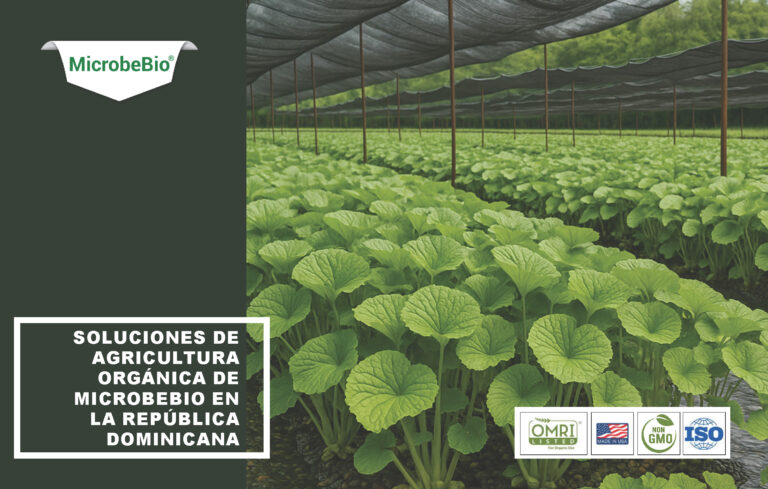 Read more about the article Soluciones de Agricultura Orgánica de Microbebio en la República Dominicana