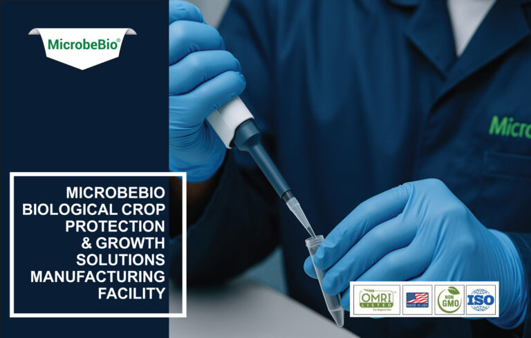 Read more about the article MicrobeBio Biological Crop Protection & Growth Solutions Manufacturing Facility